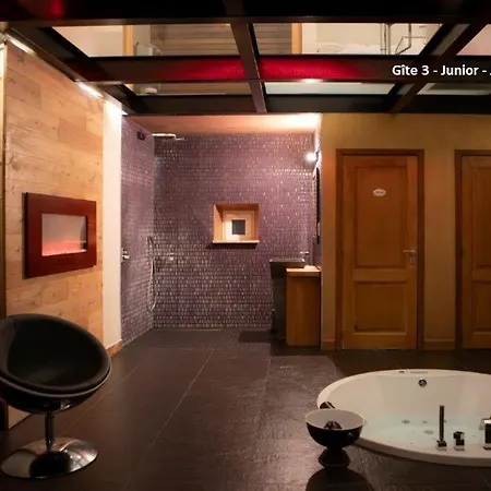 Wellness A - Avec Jacuzzi Pour 2 Personnes Love hotel