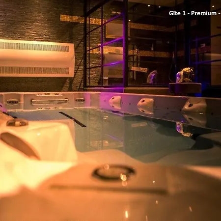 Wellness A - Avec Jacuzzi Pour 2 Personnes Liefdeshotel *