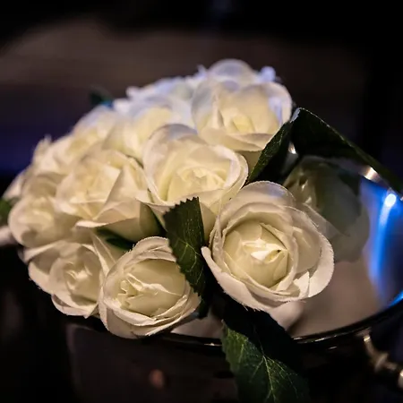 Love hôtel Wellness